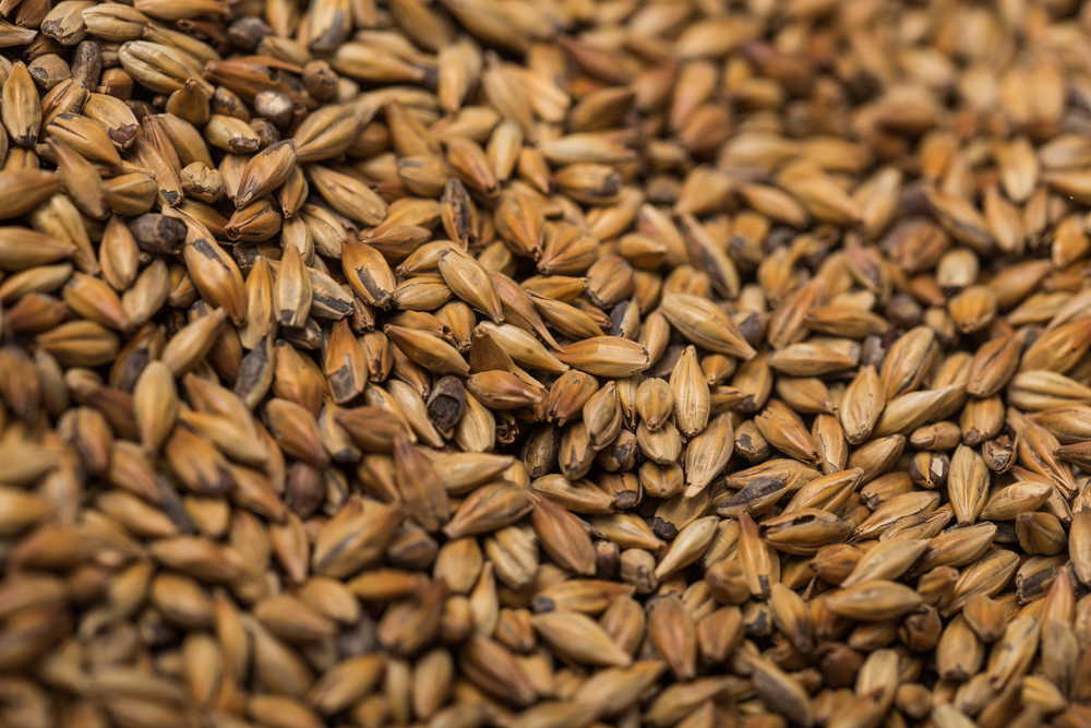 Weyermann Spelt Malt (3-7 EBC)