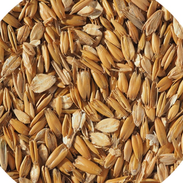 Crisp Flaked Torrefied Oats